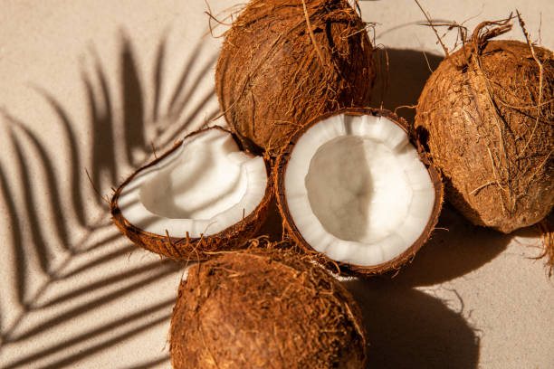 Coconut